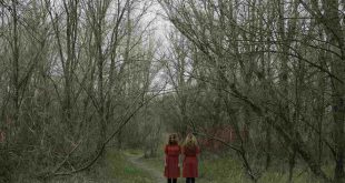 Los zaragozanos One Dimensional Band son parte del Zaragoza Psych Fest
