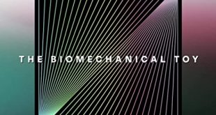 The Biomechanical Toy