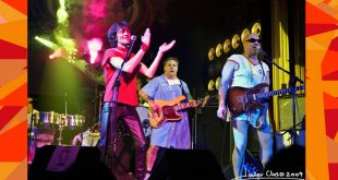 Juan Ramón Usán frente al bajo de Los Enfermos Mentales. Foto de Javier Clos.
