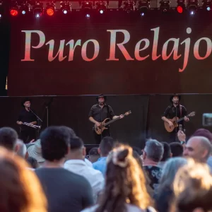 Puro Relajo